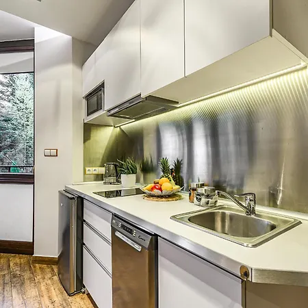 Visitzakopane - White Valley Appartement